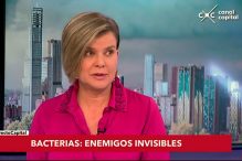Canal Capital: Las Bacterias